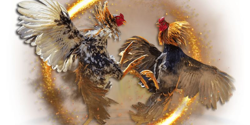 Hướng dẫn quản lý vốn