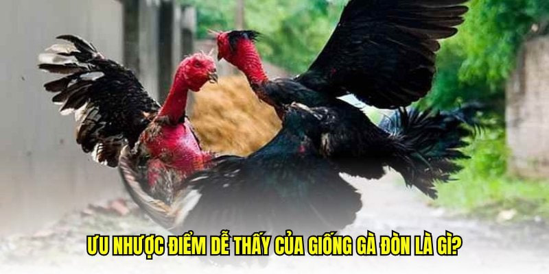 Hướng dẫn tham gia cụ thể