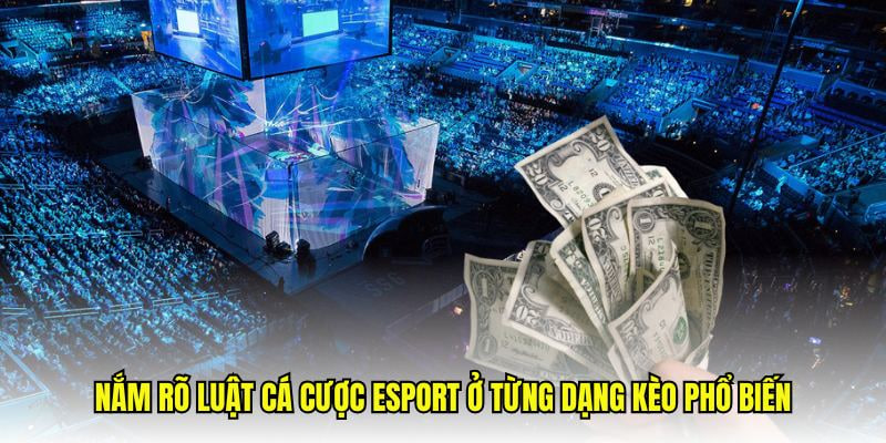 Kèo chiến thuật cá cược lol 2025 phổ biến gồm